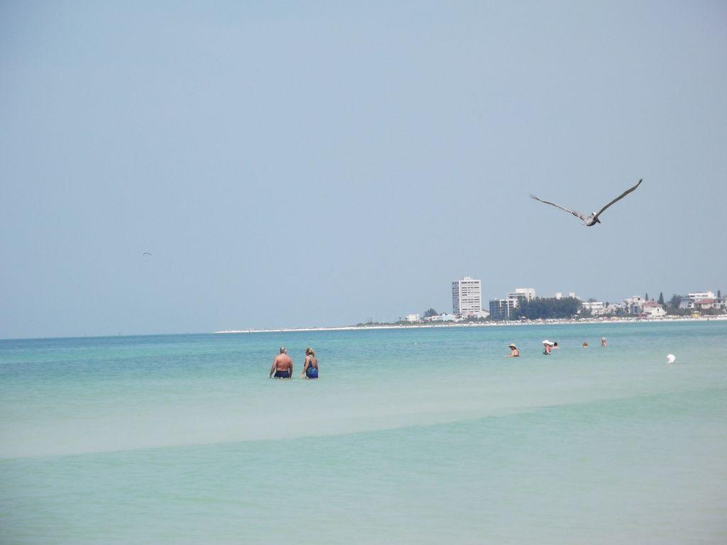1+1 Large condo Sarasota Esterno foto